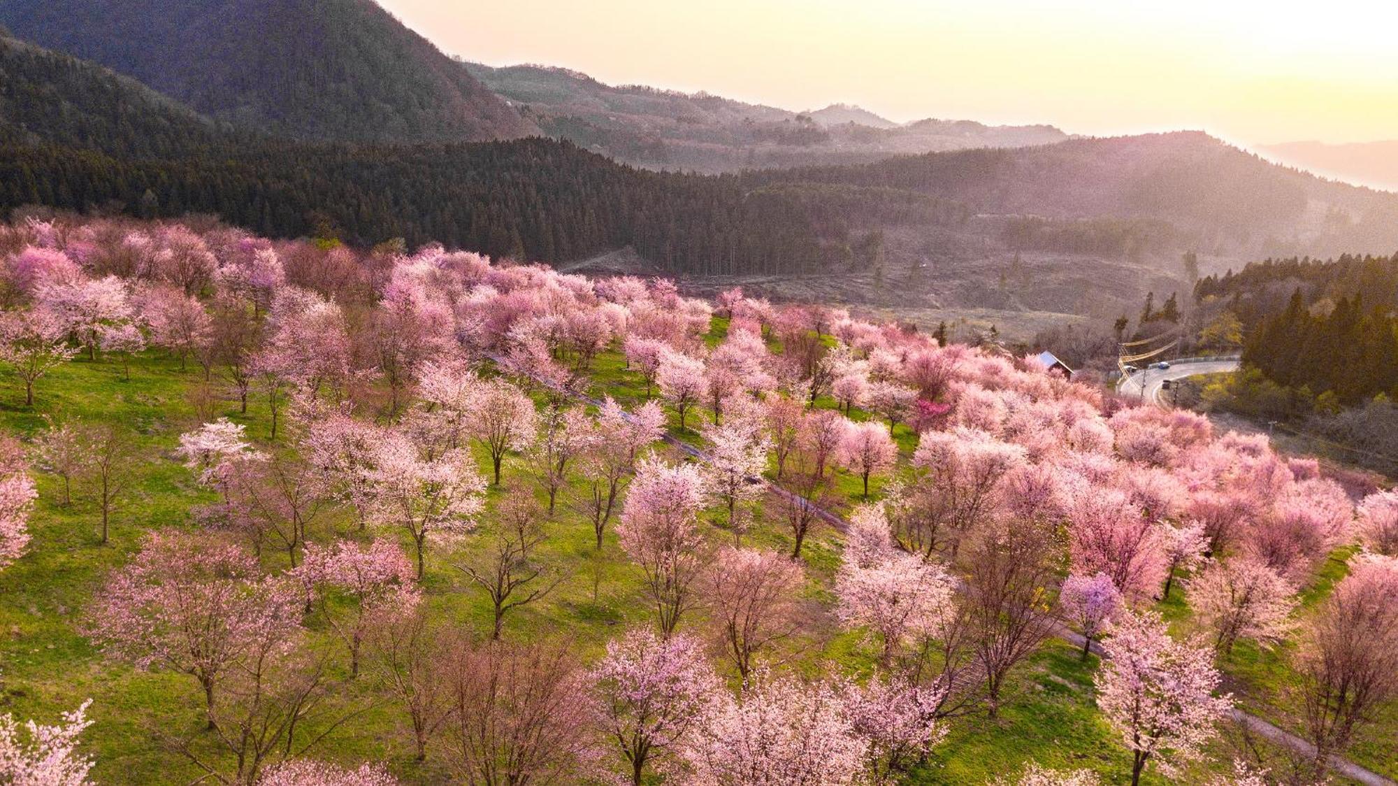 Urabandai Lake Resort Goshiki No Mori Kitashiobara Dış mekan fotoğraf