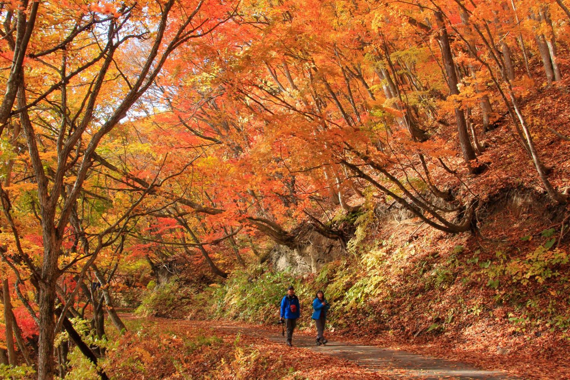 Urabandai Lake Resort Goshiki No Mori Kitashiobara Dış mekan fotoğraf