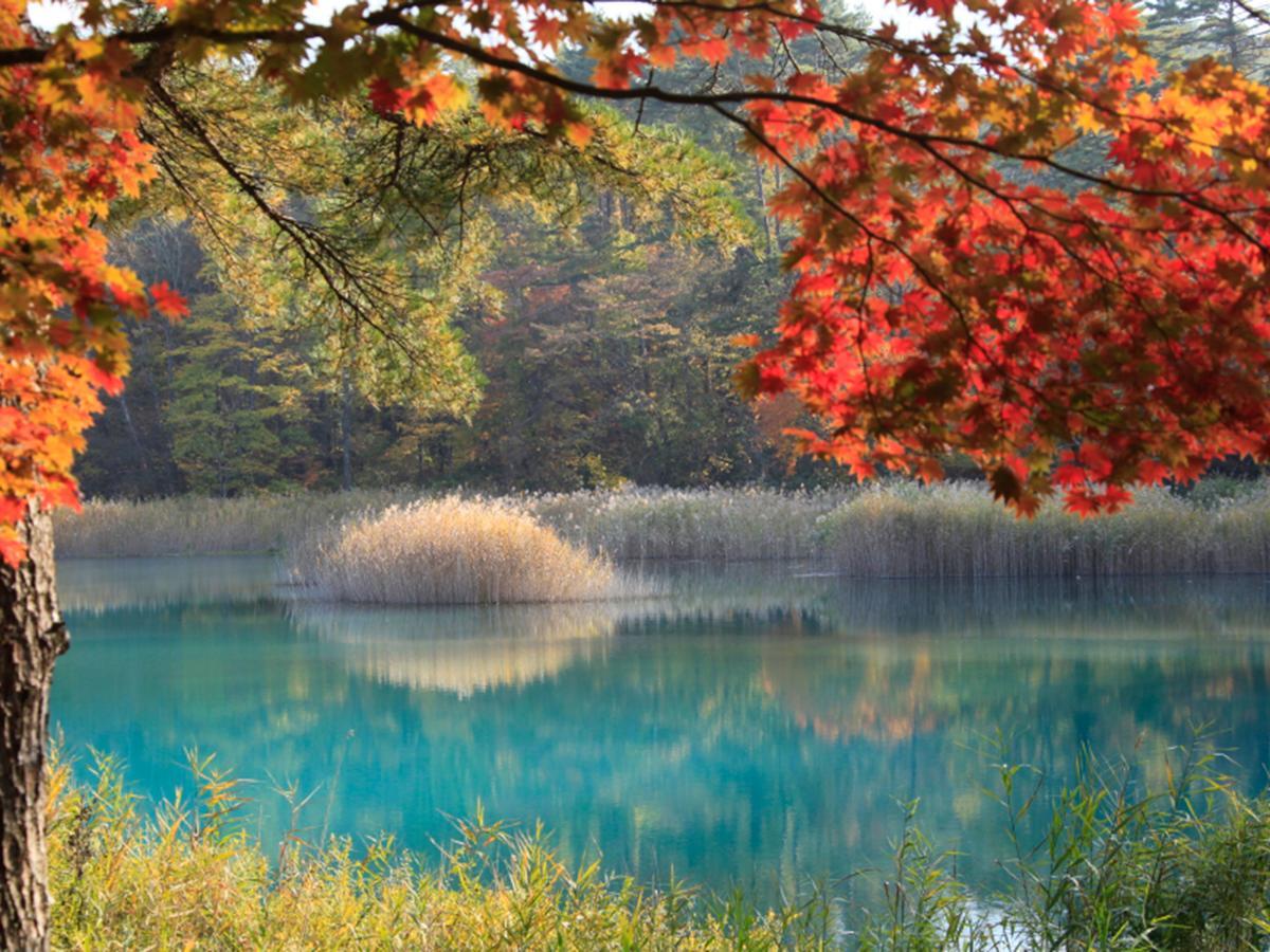 Urabandai Lake Resort Goshiki No Mori Kitashiobara Dış mekan fotoğraf