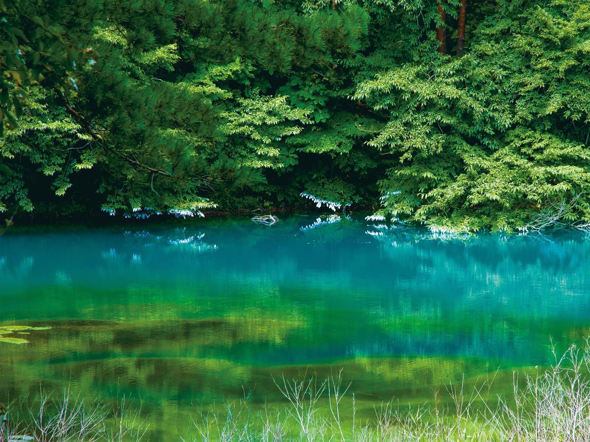 Urabandai Lake Resort Goshiki No Mori Kitashiobara Dış mekan fotoğraf